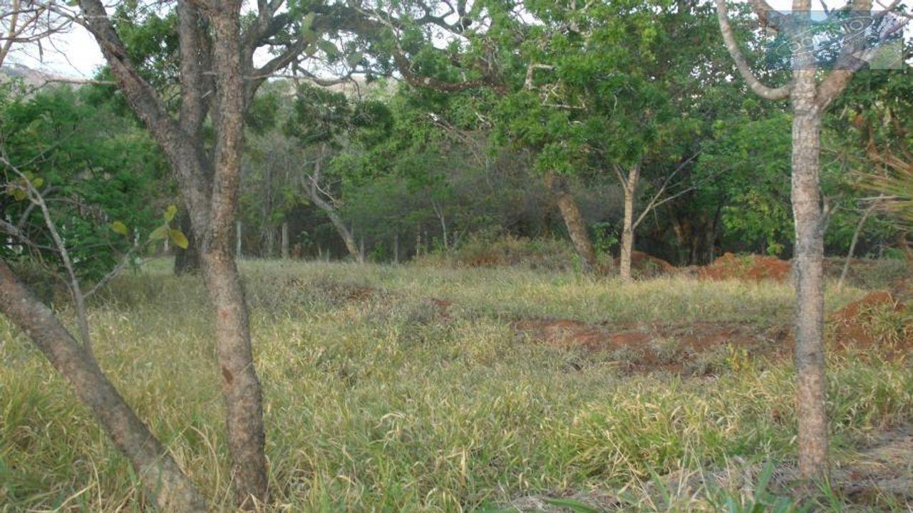 Terreno, 1500 m² - Foto 2