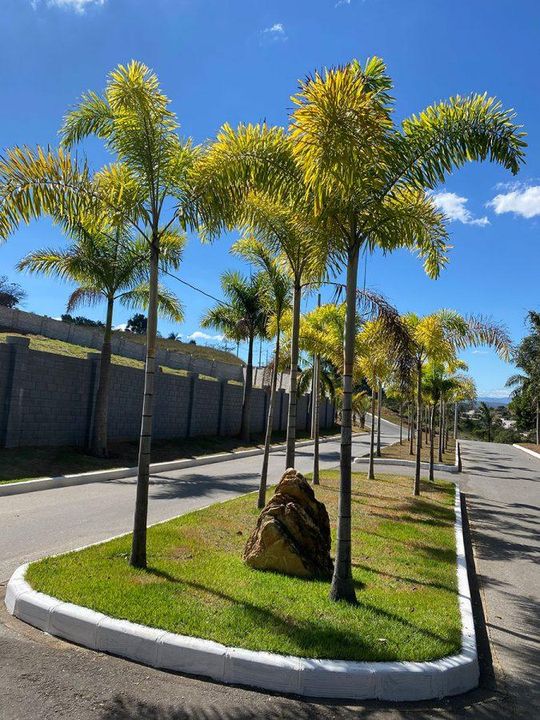 Terreno à venda, 1000m² - Foto 16