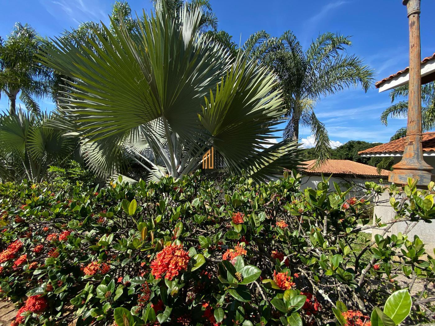 Casa de Condomínio à venda com 3 quartos, 650m² - Foto 59
