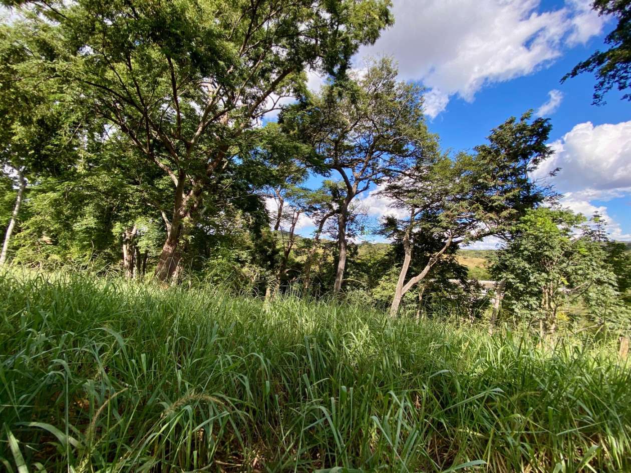 Terreno, 1250 m² - Foto 14