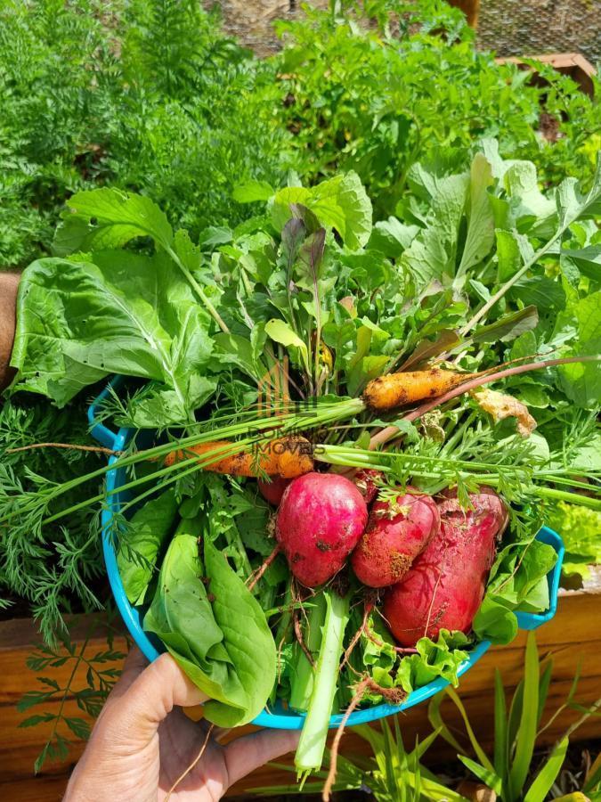 Casa de Condomínio, 6 quartos - Foto 49