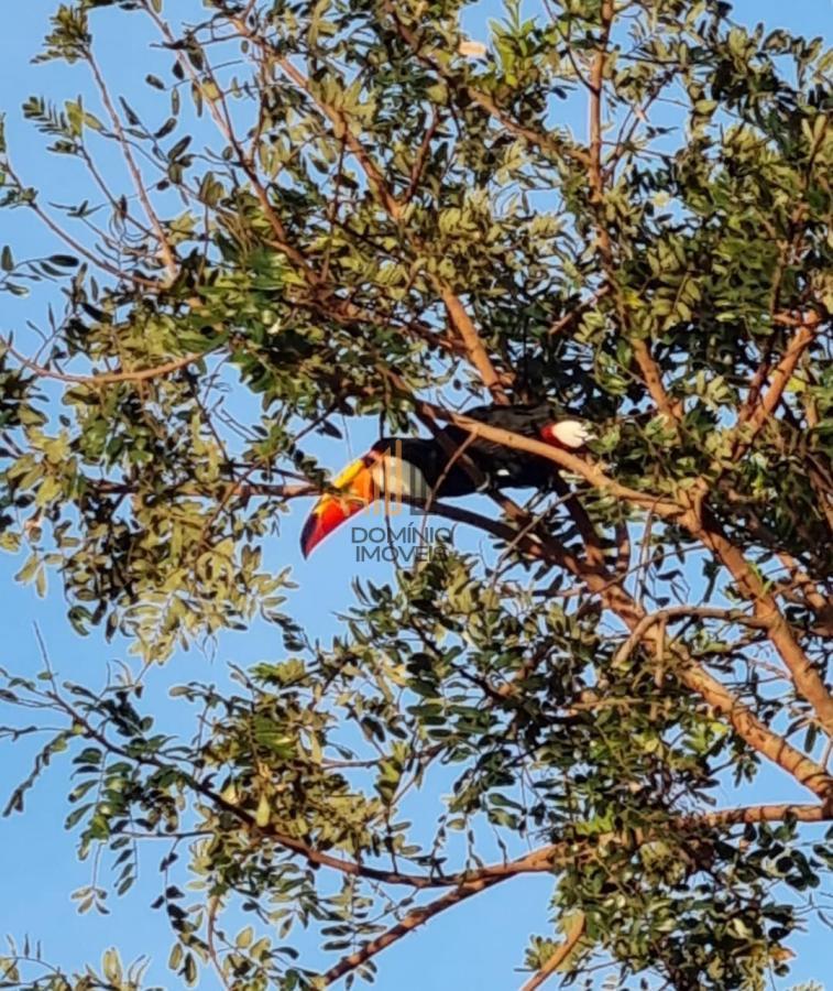 Casa de Condomínio, 6 quartos - Foto 45