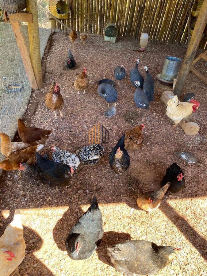 Casa de Condomínio, 6 quartos - Foto 44