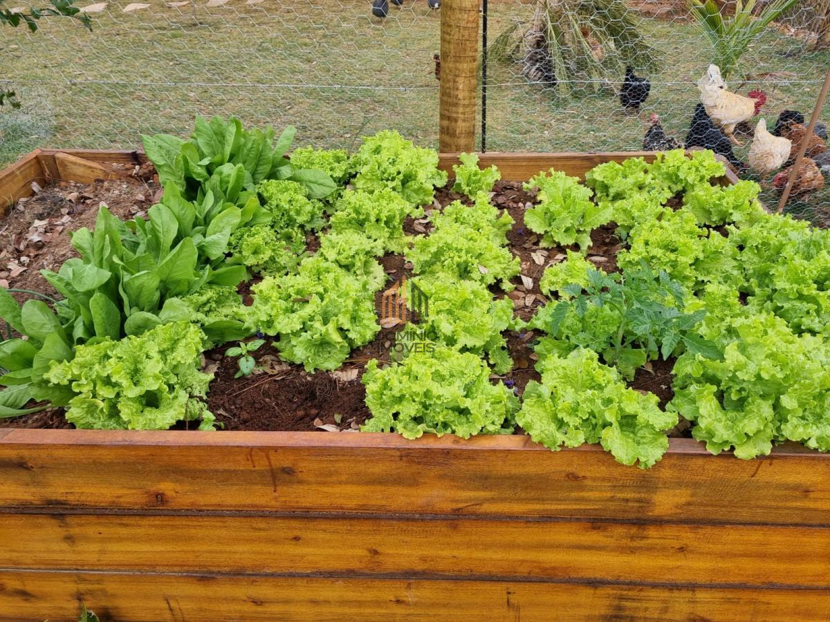 Casa de Condomínio, 6 quartos - Foto 50