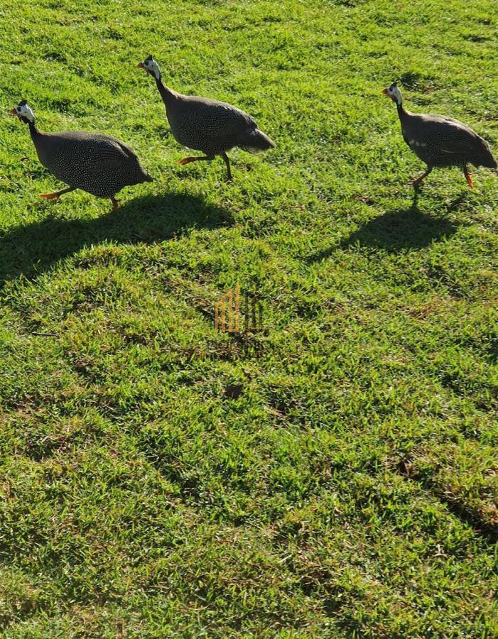 Casa de Condomínio, 6 quartos - Foto 40